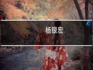 杨银宏(关于杨银宏的简介)