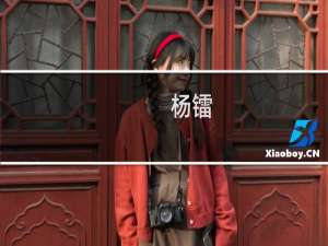 杨镭(关于杨镭的简介)