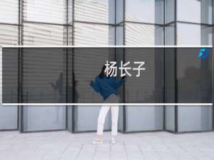 杨长子(关于杨长子的简介)