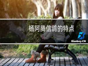 杨阿腾信鸽的特点