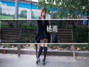 杨雨(关于杨雨的简介)