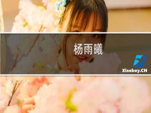 杨雨曦(关于杨雨曦的简介)