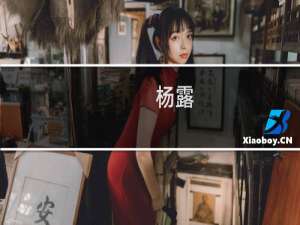 杨露(关于杨露的简介)