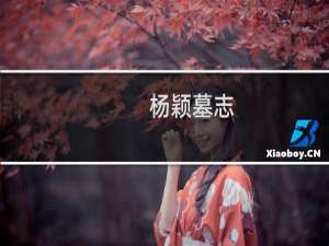 杨颖墓志(关于杨颖墓志的简介)