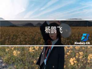 杨鹍飞(关于杨鹍飞的简介)