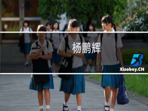 杨鹏辉(关于杨鹏辉的简介)