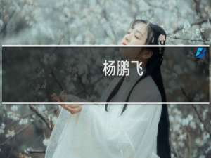 杨鹏飞(关于杨鹏飞的简介)