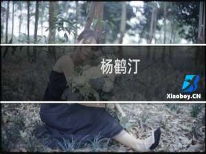 杨鹤汀(关于杨鹤汀的简介)