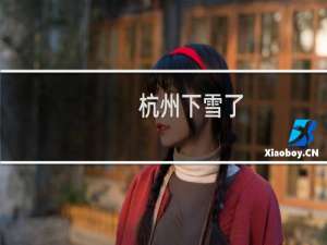 杭州下雪了(关于杭州下雪了的简介)