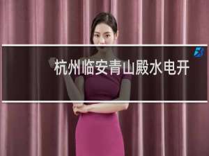 杭州临安青山殿水电开发有限公司(关于杭州临安青山殿水电开发有限公司的简介)