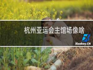 杭州亚运会主馆场像啥
