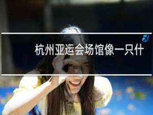 杭州亚运会场馆像一只什么碗