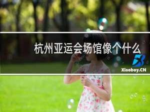 杭州亚运会场馆像个什么