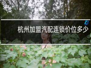 杭州加盟汽配连锁价位多少