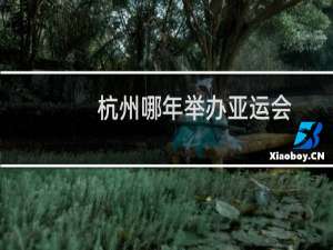 杭州哪年举办亚运会