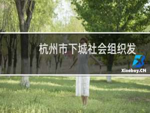 杭州市下城社会组织发展基金会(关于杭州市下城社会组织发展基金会的简介)