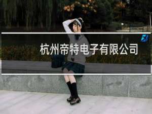 杭州帝特电子有限公司(关于杭州帝特电子有限公司的简介)