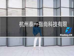 杭州泰一指尚科技有限公司(关于杭州泰一指尚科技有限公司的简介)