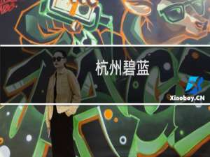 杭州碧蓝(关于杭州碧蓝的简介)
