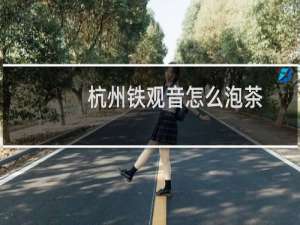 杭州铁观音怎么泡茶