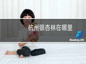 杭州银杏林在哪里