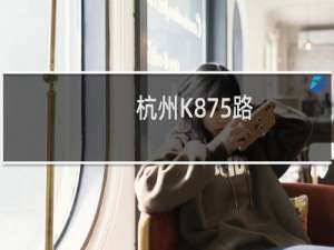 杭州K875路(关于杭州K875路的简介)