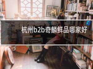 杭州b2b奇麟鲜品哪家好