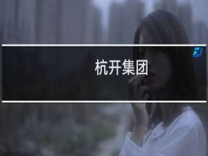 杭开集团(关于杭开集团的简介)