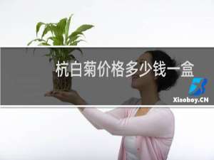 杭白菊价格多少钱一盒
