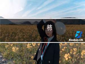 杮(关于杮的简介)