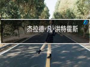 杰拉德·凡·洪特霍斯特(关于杰拉德·凡·洪特霍斯特的简介)