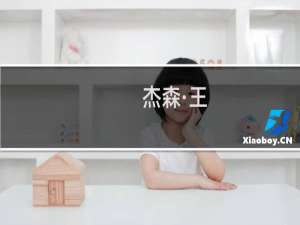 杰森·王(关于杰森·王的简介)