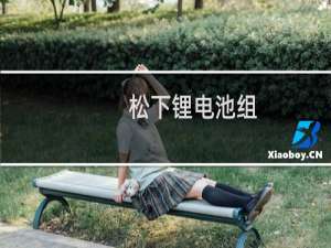 松下锂电池组