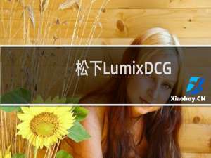 松下LumixDCGH5II评测
