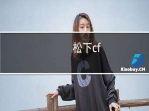松下cf-19干什么用的