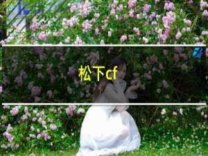 松下cf-lx5电脑参数