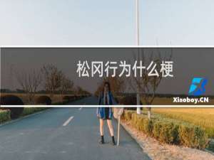 松冈行为什么梗