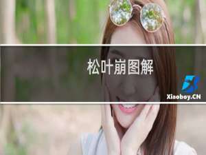 松叶崩图解（松叶崩的意思是什么）