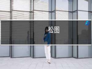 松图(关于松图的简介)