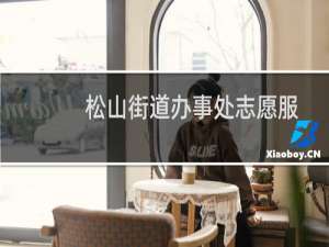 松山街道办事处志愿服务队(关于松山街道办事处志愿服务队的简介)