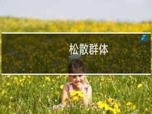 松散群体(关于松散群体的简介)