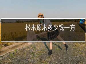 松木原木多少钱一方
