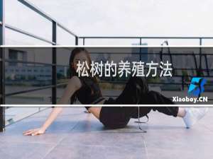 松树的养殖方法