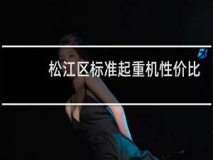 松江区标准起重机性价比