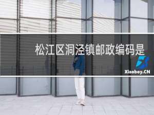 松江区洞泾镇邮政编码是多少