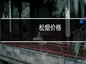 松烟价格
