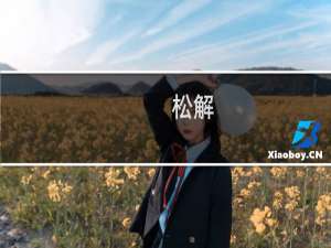 松解(关于松解的简介)