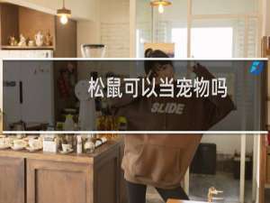 松鼠可以当宠物吗
