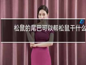 松鼠的尾巴可以帮松鼠干什么