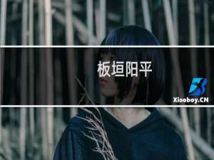 板垣阳平(关于板垣阳平的简介)
